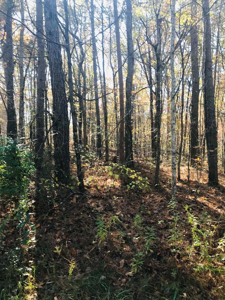 lot 7 Bell Rd, Crossville, TN 38571 - photo 1