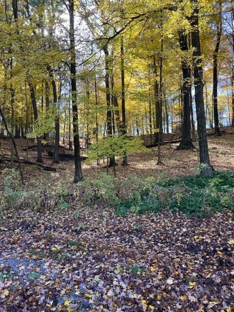 0 Grand View Dr unit 223036920, Howard Township, OH 43028 - photo 1