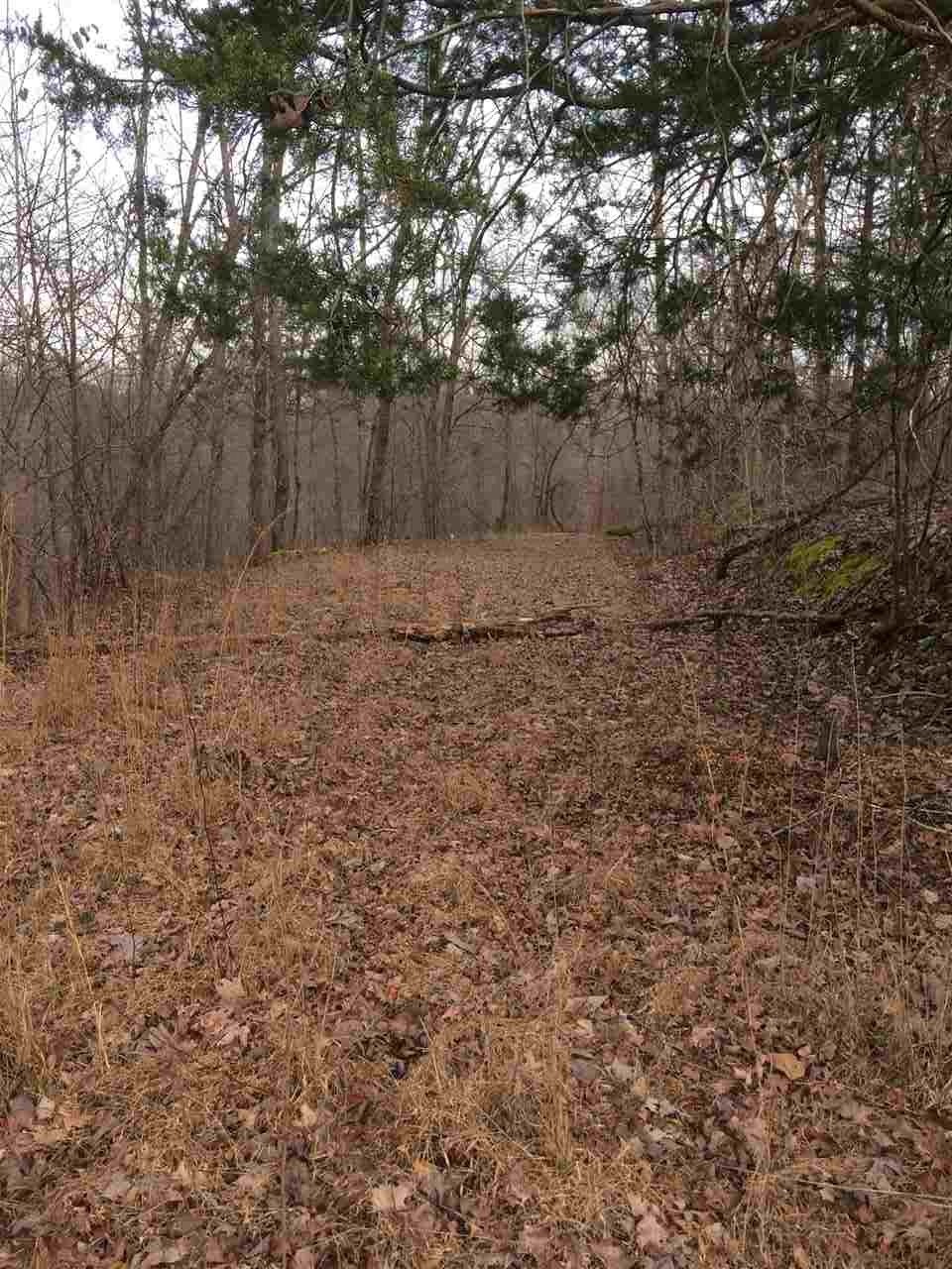 00 Hurricane Creek Rd, Linden, TN 37096 - photo 1