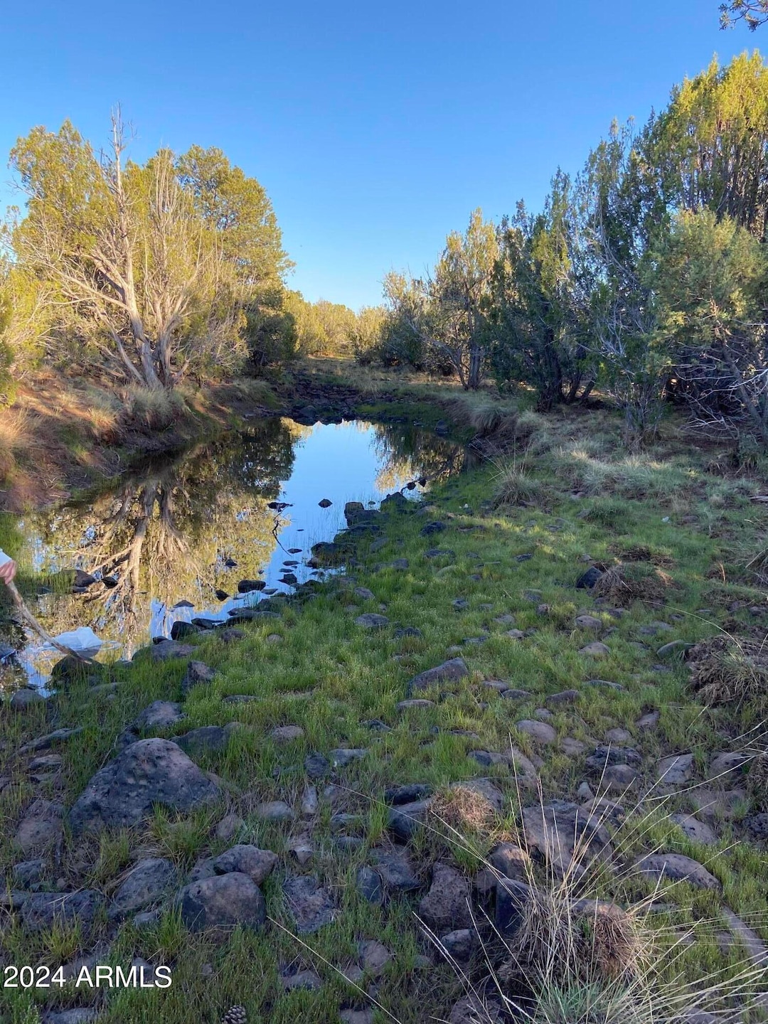 image_67238145