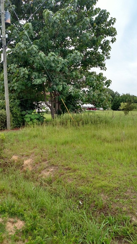 Main View