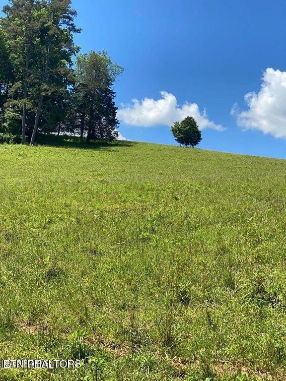 Lot 7 Chapman Rd, Lafollette, TN 37766 - photo 1