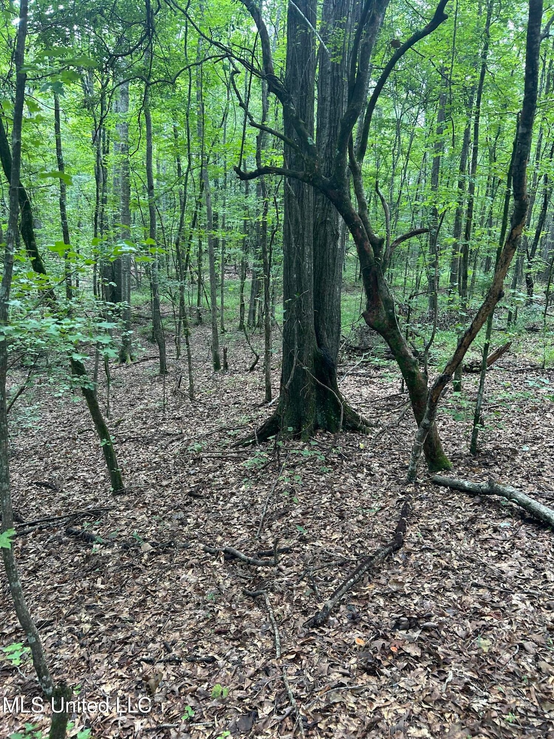 00 Raymond Rd, Hazlehurst, MS 39083 - photo 1