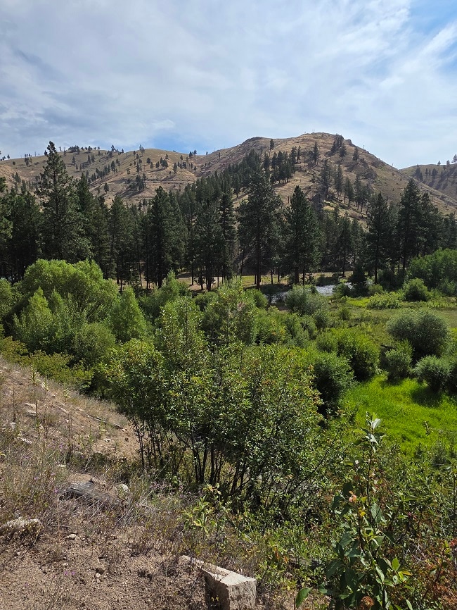 5855 Serenity Ln, Conner, MT 59827 - photo 1