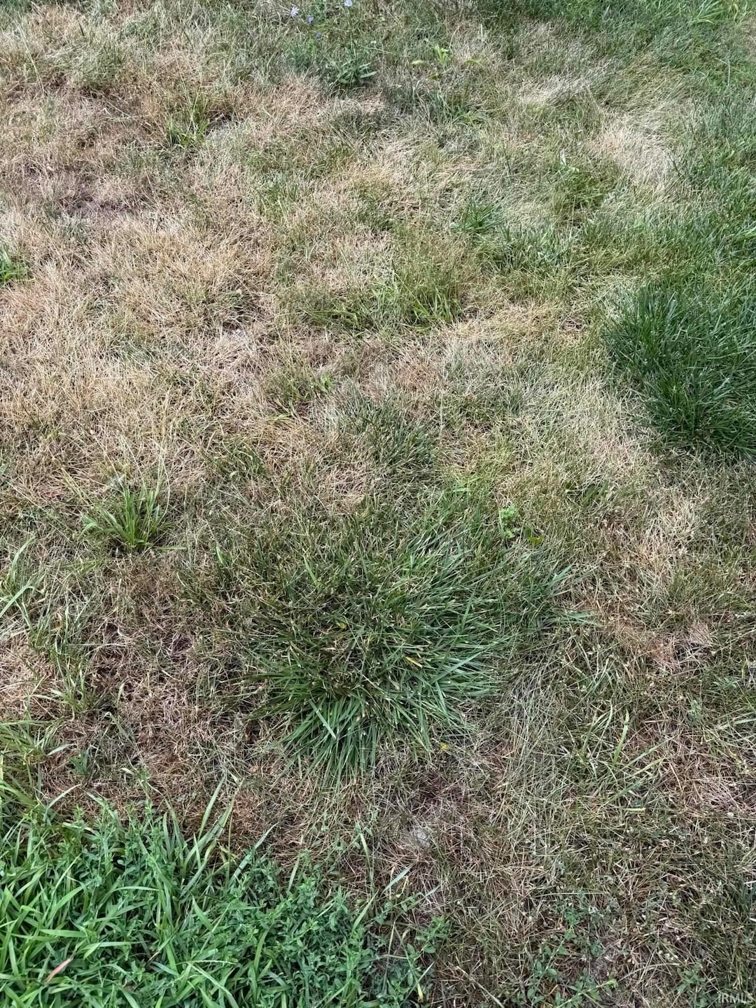 442 Colerick St, Fort Wayne, IN 46806 - photo 1