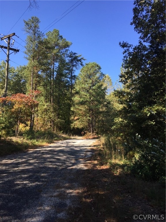 0 Ruther Glen Rd unit 1934026, Caroline, VA 22546 - photo 1