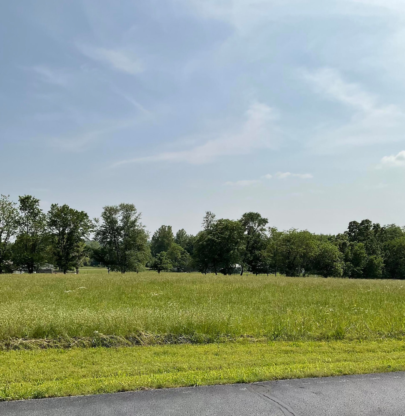 Picture of land
