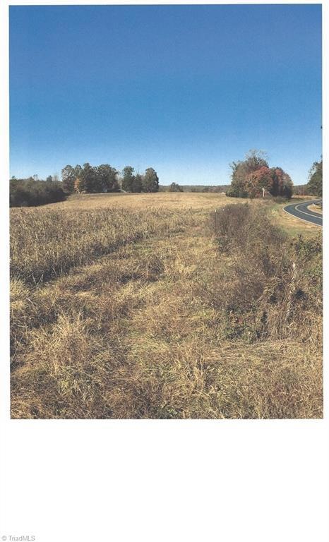 0 Little Beane Store Rd unit 814472, Seagrove, NC 27341 - photo 1