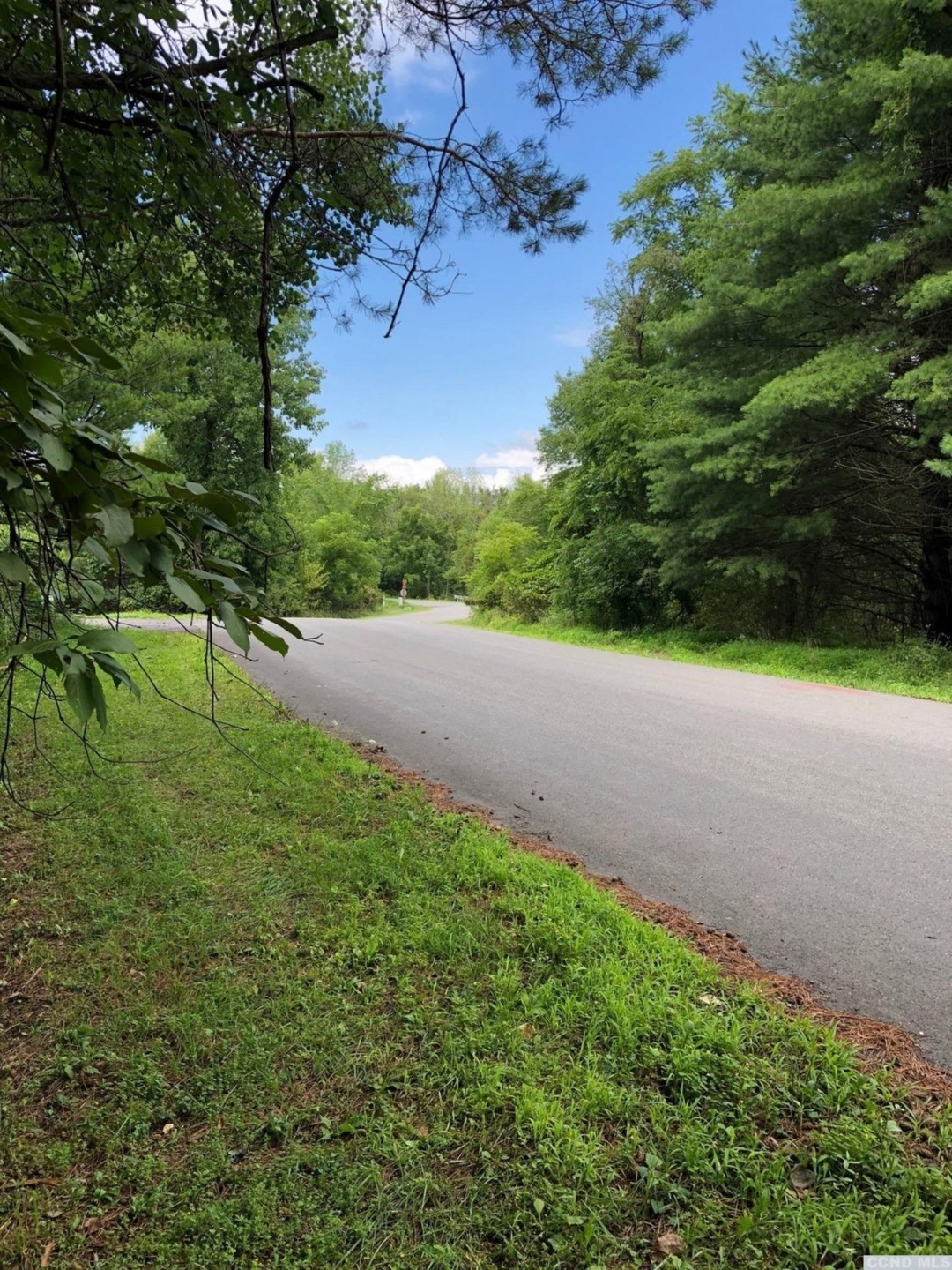 13 - C Sleepy Hollow Rd, Coxsackie, NY 12051 - photo 1