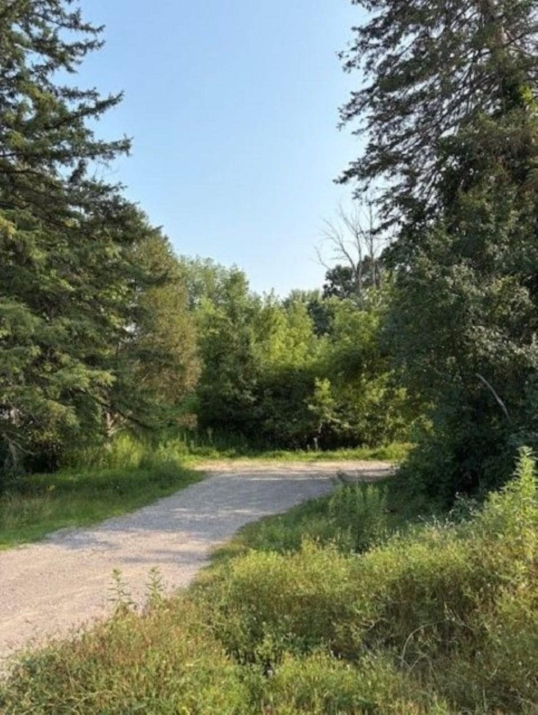 Sold $65,000 • Co-Listing Agent