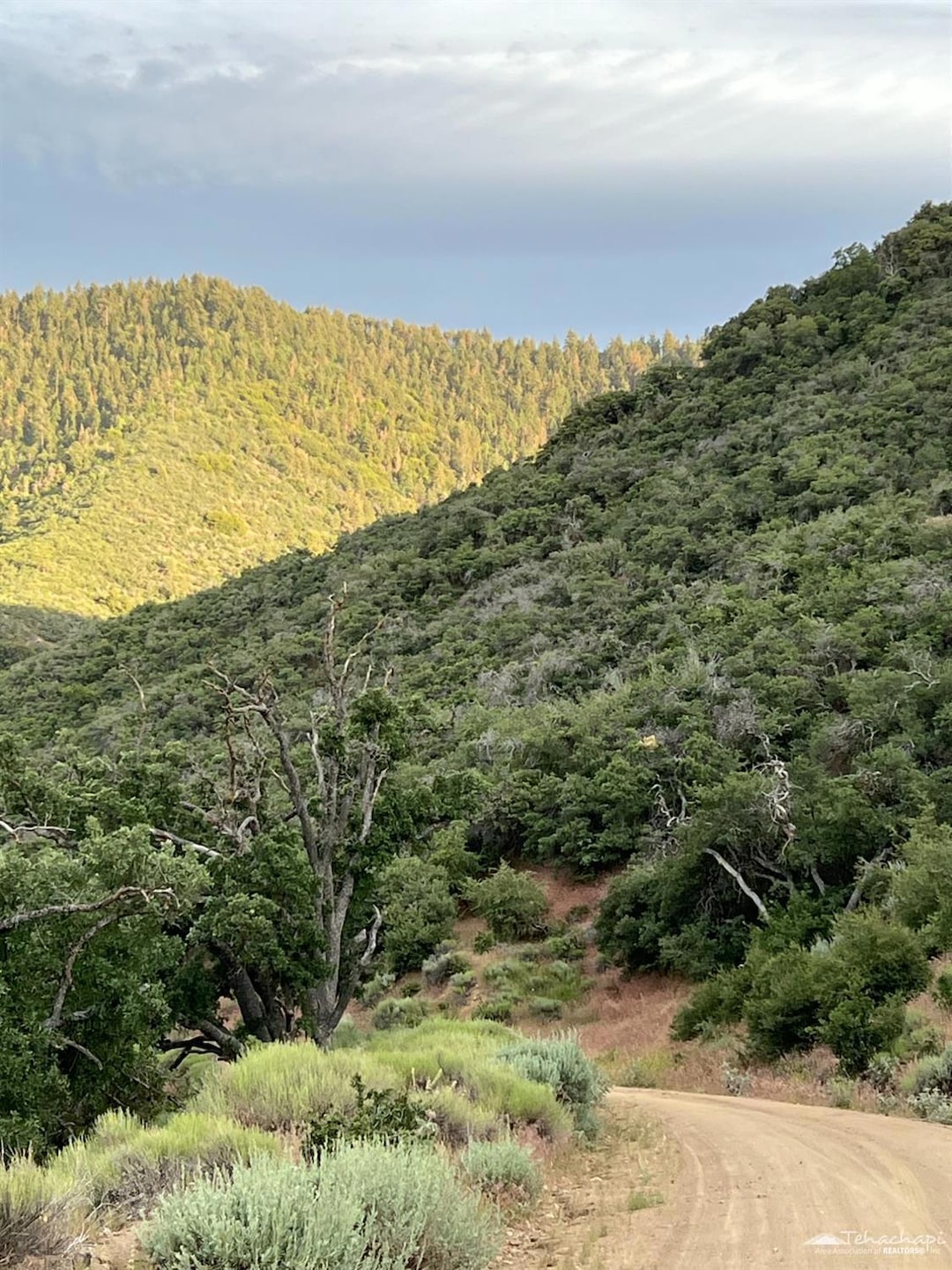 17401 St Moritz Dr, Tehachapi, CA 93561 - photo 1