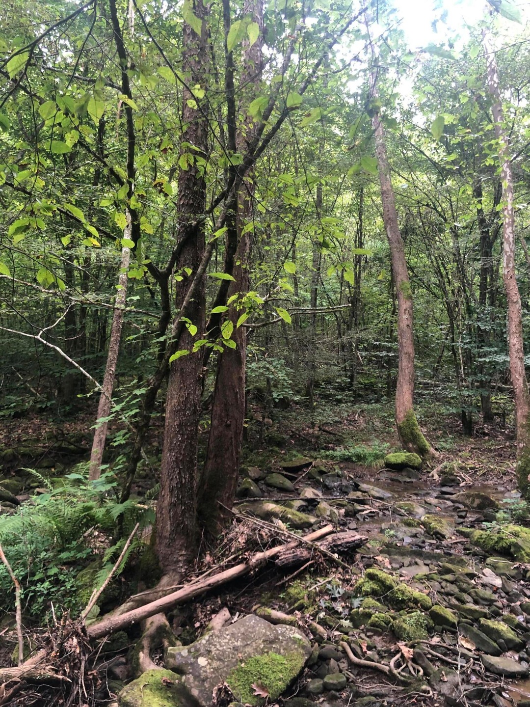 921B180D-7FEC-41E7-AB2C-2A1670E91357