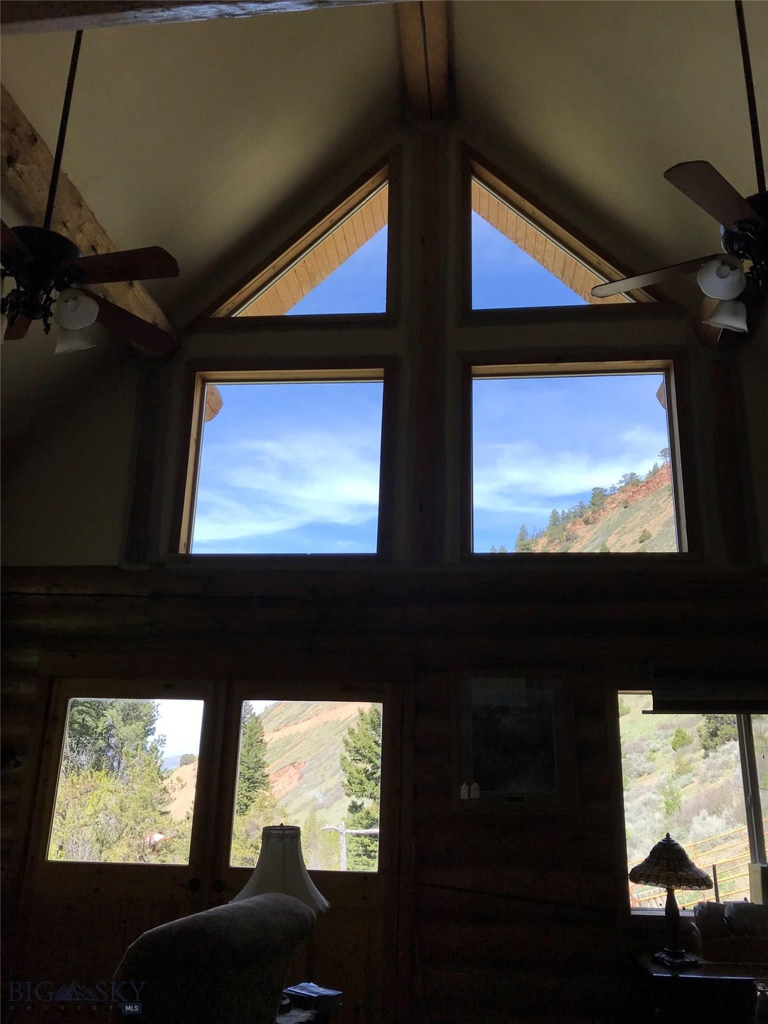 View from the living Room