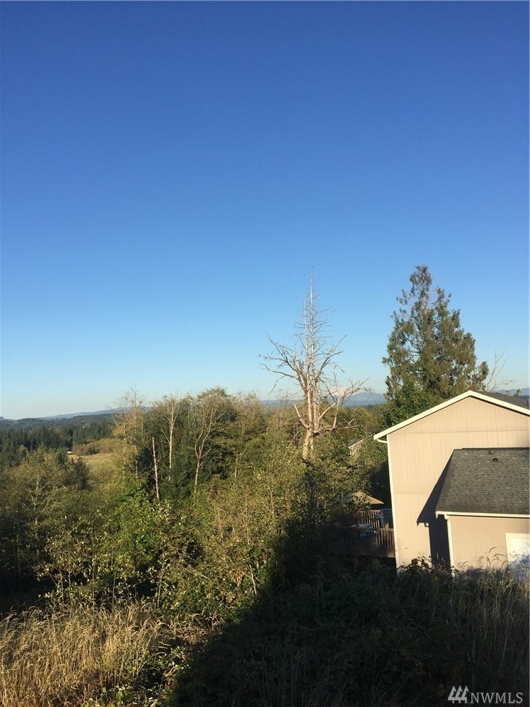 0 Mitchell unit 1208157, Napavine, WA 98565 - photo 1