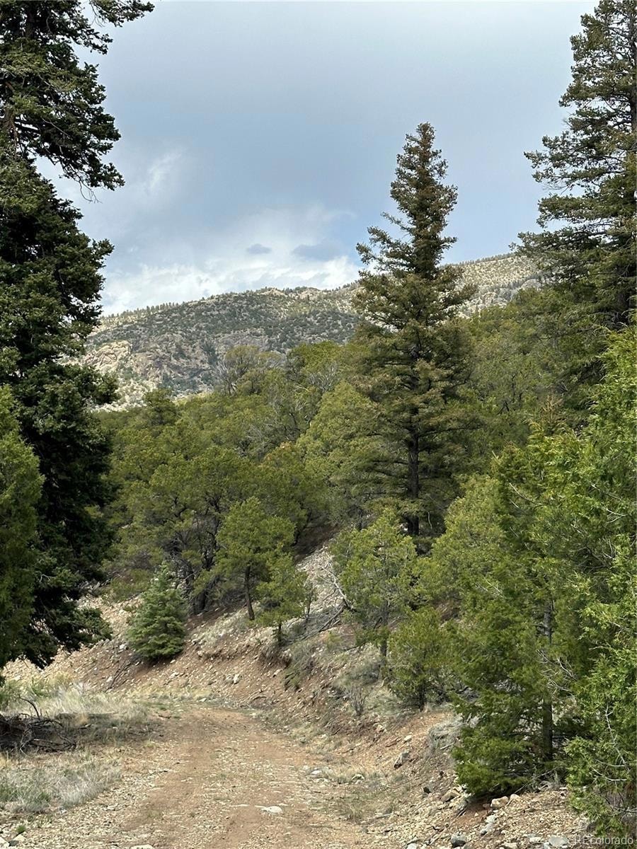 0 Tbd unit REC8471834, Mosca, CO 81146 - photo 1