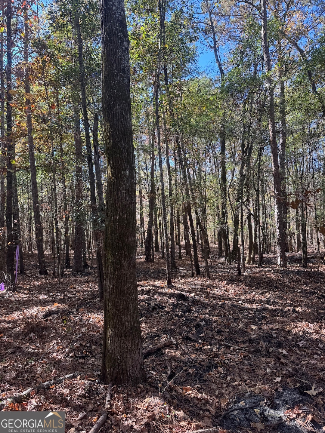 157 W Drummond Rd, West Point, GA 31833 - photo 1