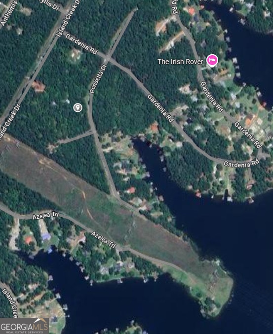 0 Poinsettia Place, Sparta, GA 31087 - photo 1