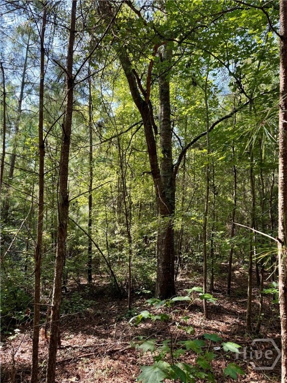 0 Best Bridge Rd unit SA336787, Sylvania, GA 30467 - photo 1