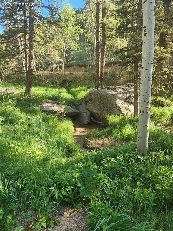 Rock and Stream