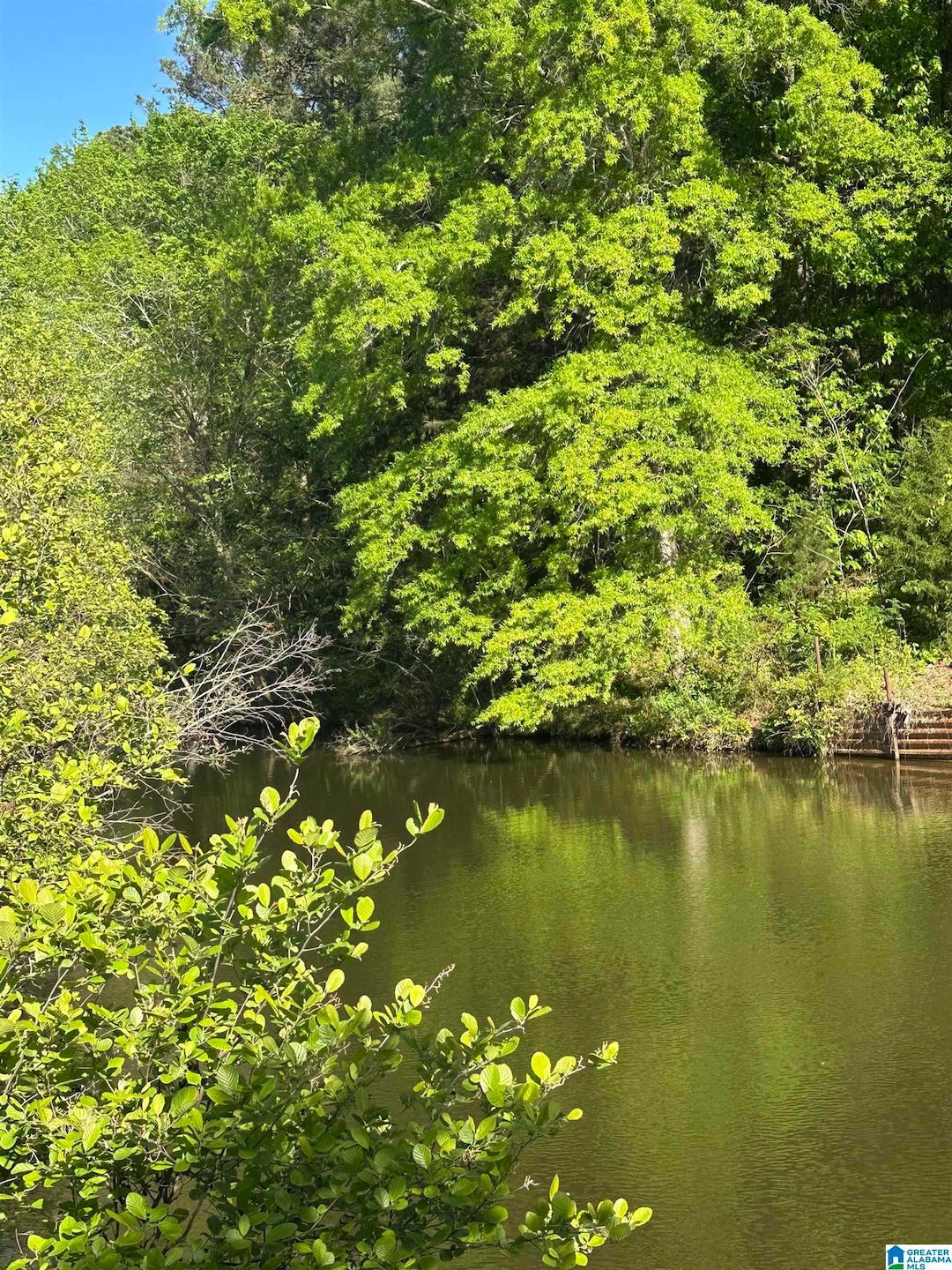 0 Vick Ln unit 21416150, Sylacauga, AL 35151 - photo 1