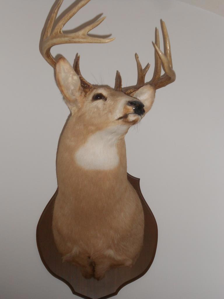Main View