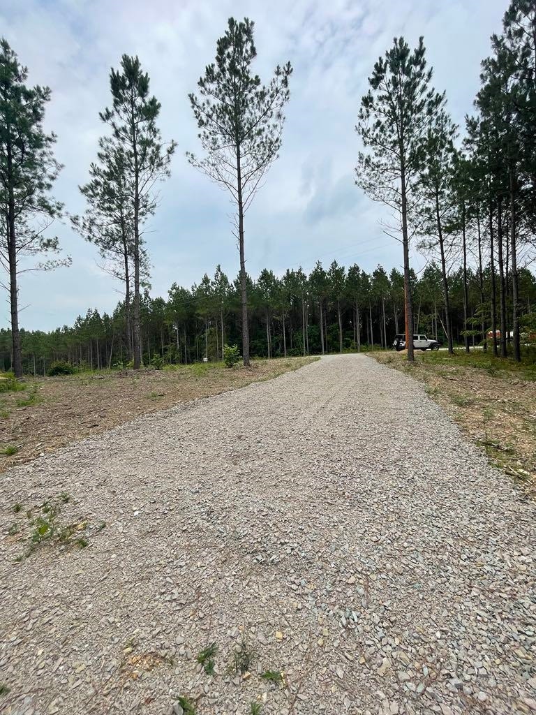 View of road
