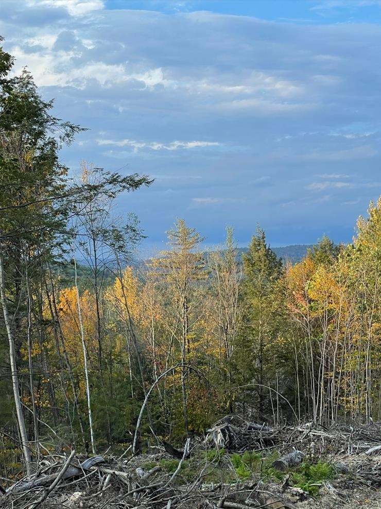 0 Westmoreland Rd, Chesterfield, NH 03462 - photo 1