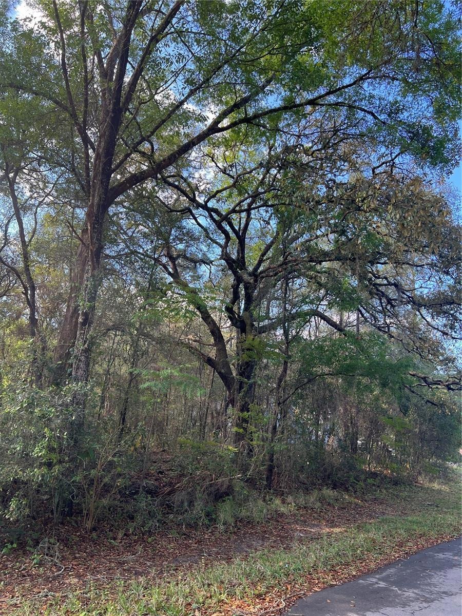 00 SW 98th Ln, Dunnellon, FL 34432 - photo 1