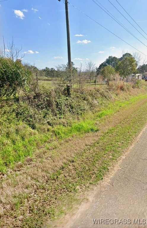 1040 County Road 665, Chancellor, AL 36316 - photo 1