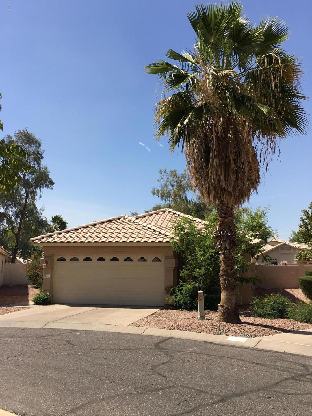 641 N Diane Ct, Chandler, AZ 85226 - photo 1