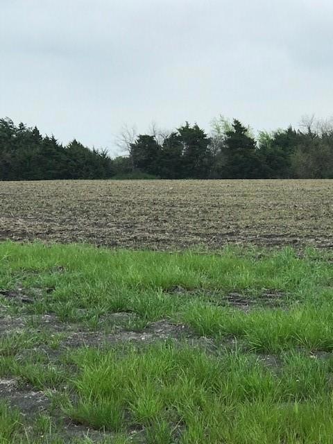 Over 28 acres of land with 2 ponds and mature tree