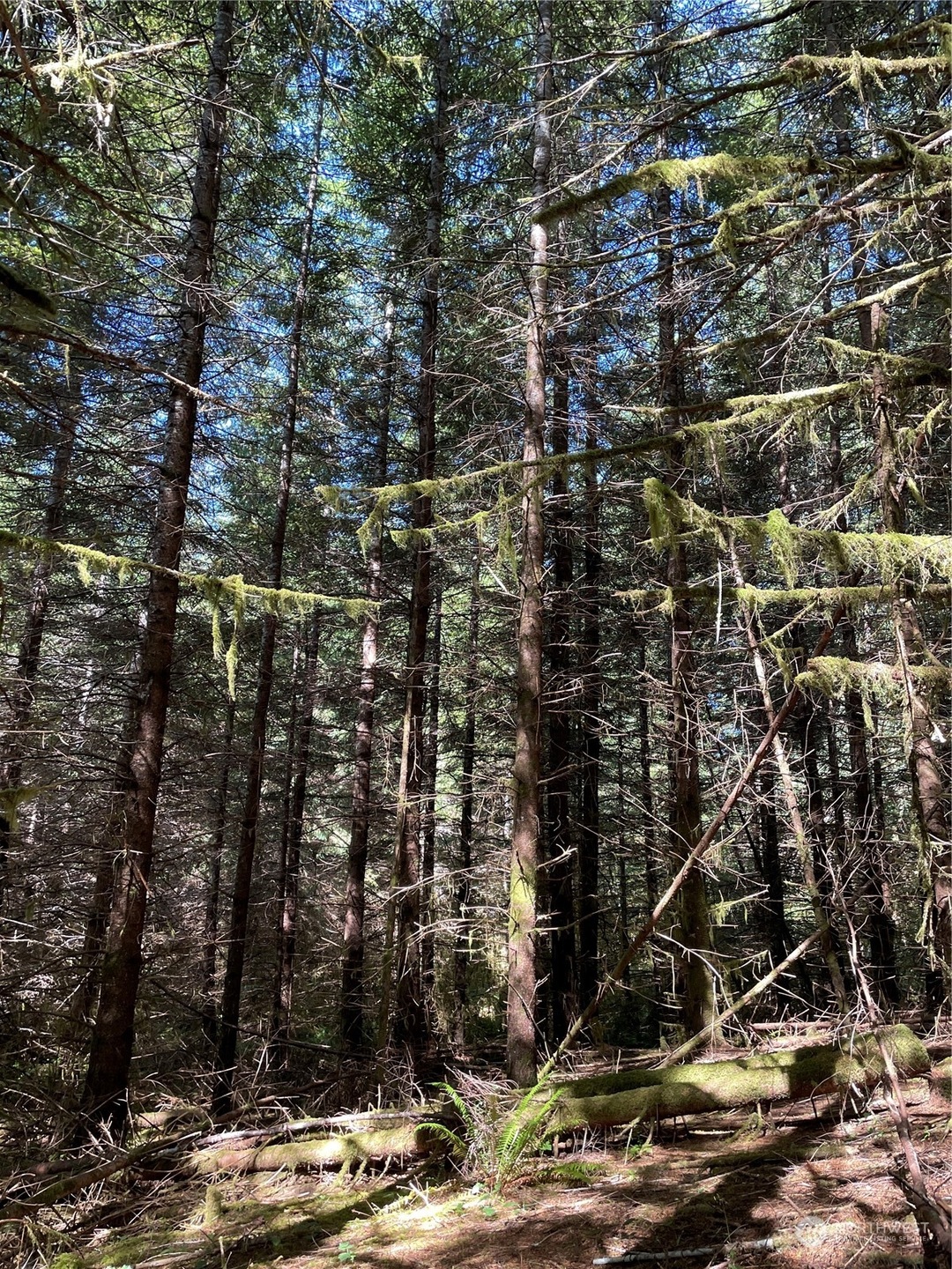 0 Wiest Rd unit NWM2155730, Longview, WA 98632 - photo 1