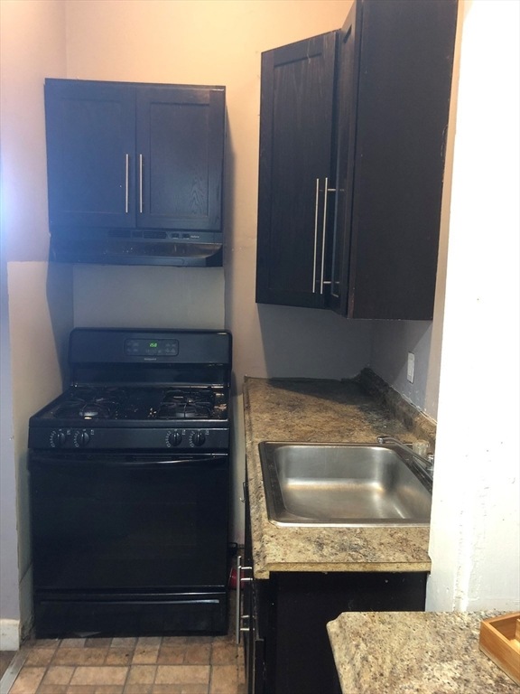 11 Akron St unit 1, Roxbury, MA 02119 - photo 1