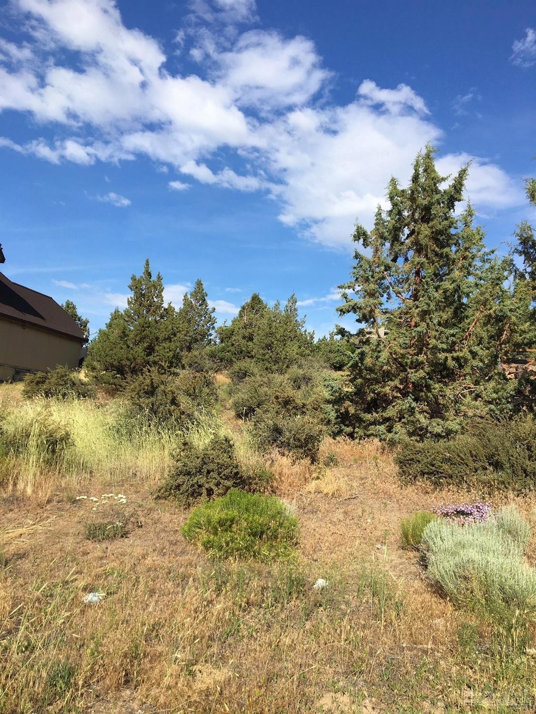 2334 SW 43rd St, Redmond, OR 97756 - photo 1