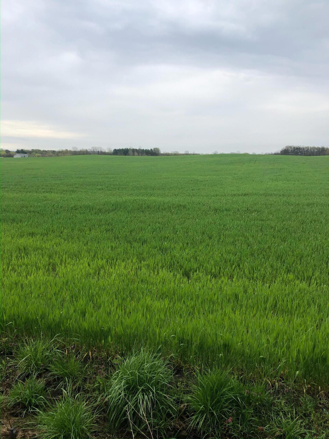 13556 Rosewood Rd NE, Walnut Township, OH 43076 - photo 1