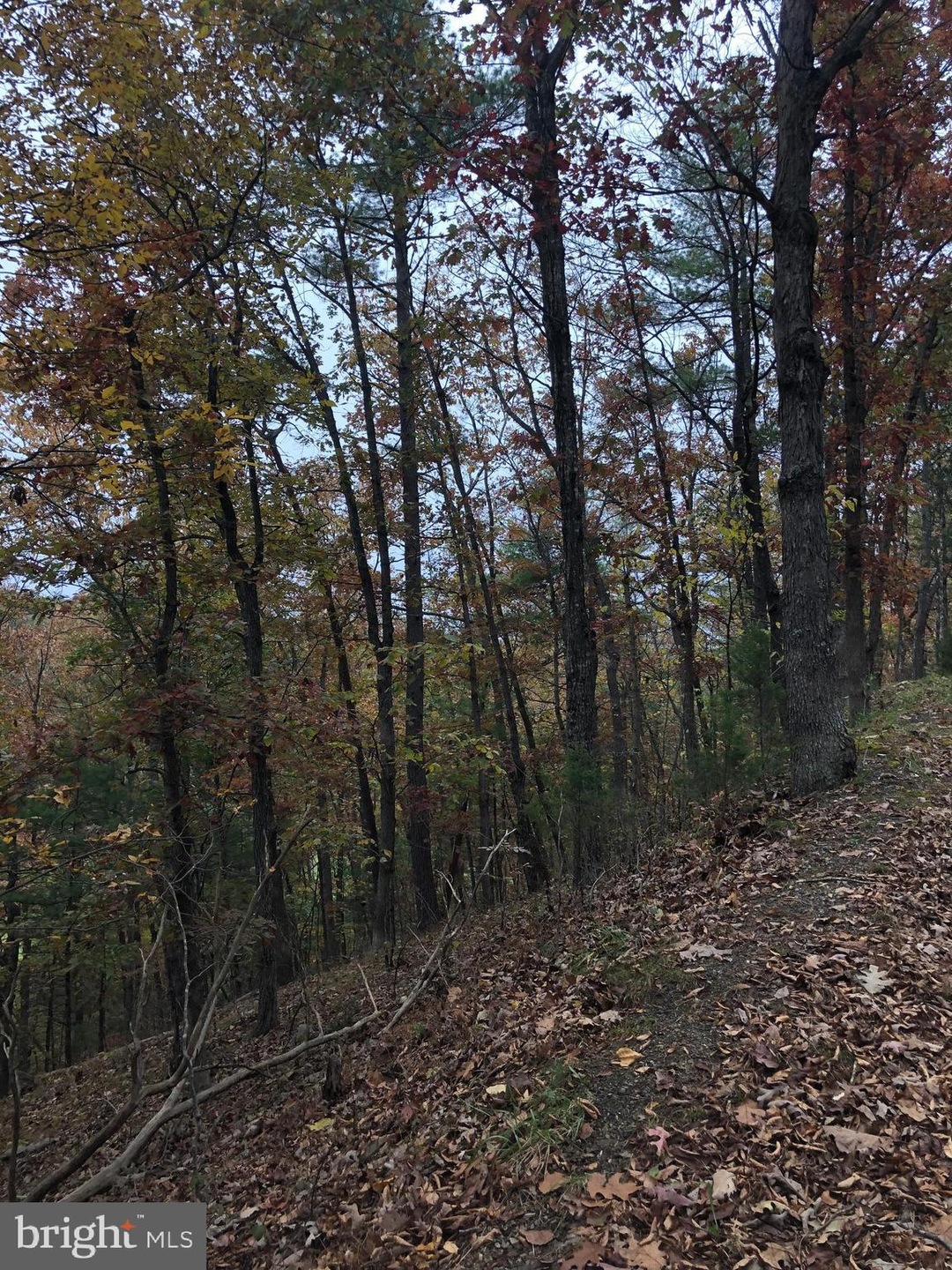 0 Greenview Dr unit VASH121646, Basye, VA 22810 - photo 1