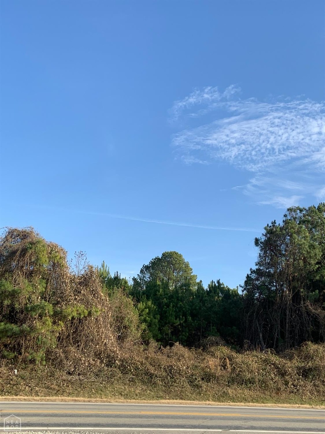 0 Hwy 351 & Gr 721 Rd unit 10103639, Paragould, AR 72450 - photo 1