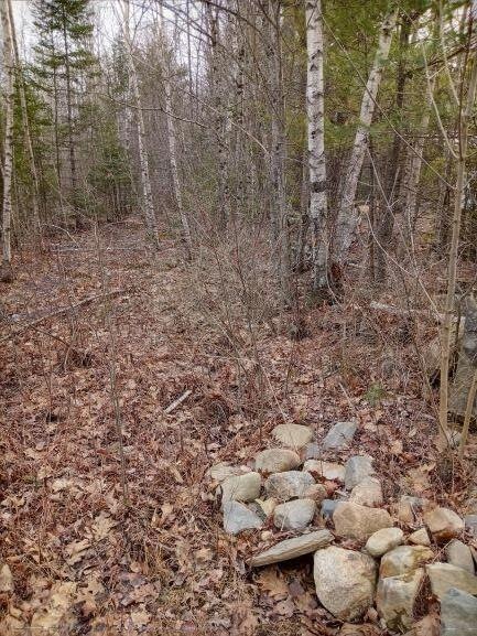 Maple Lane Right Pin