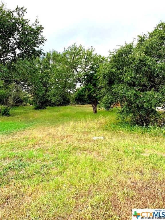 2029 Meadow View Dr, San Marcos, TX 78666 - photo 1