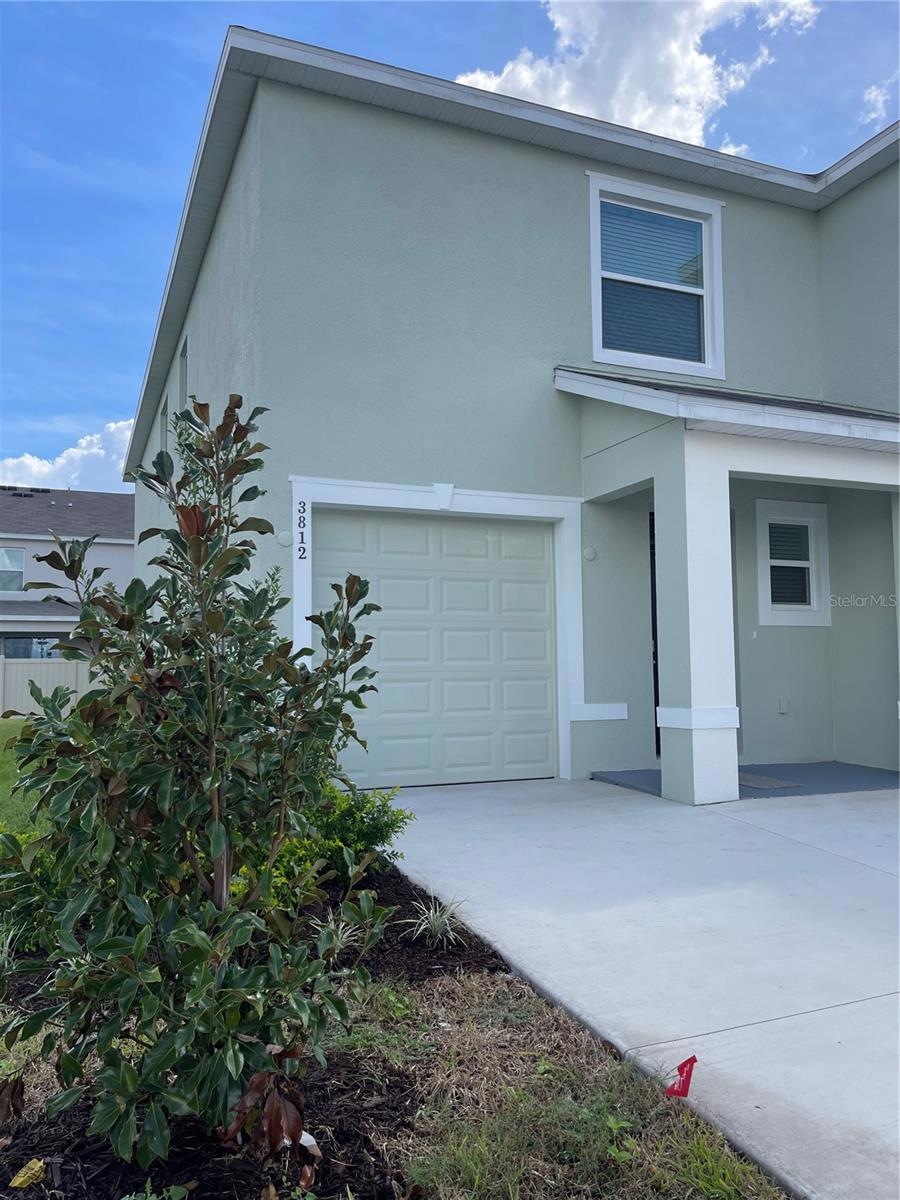 3812 Copper Beech Dr, Land O' Lakes, FL 34638 - photo 1