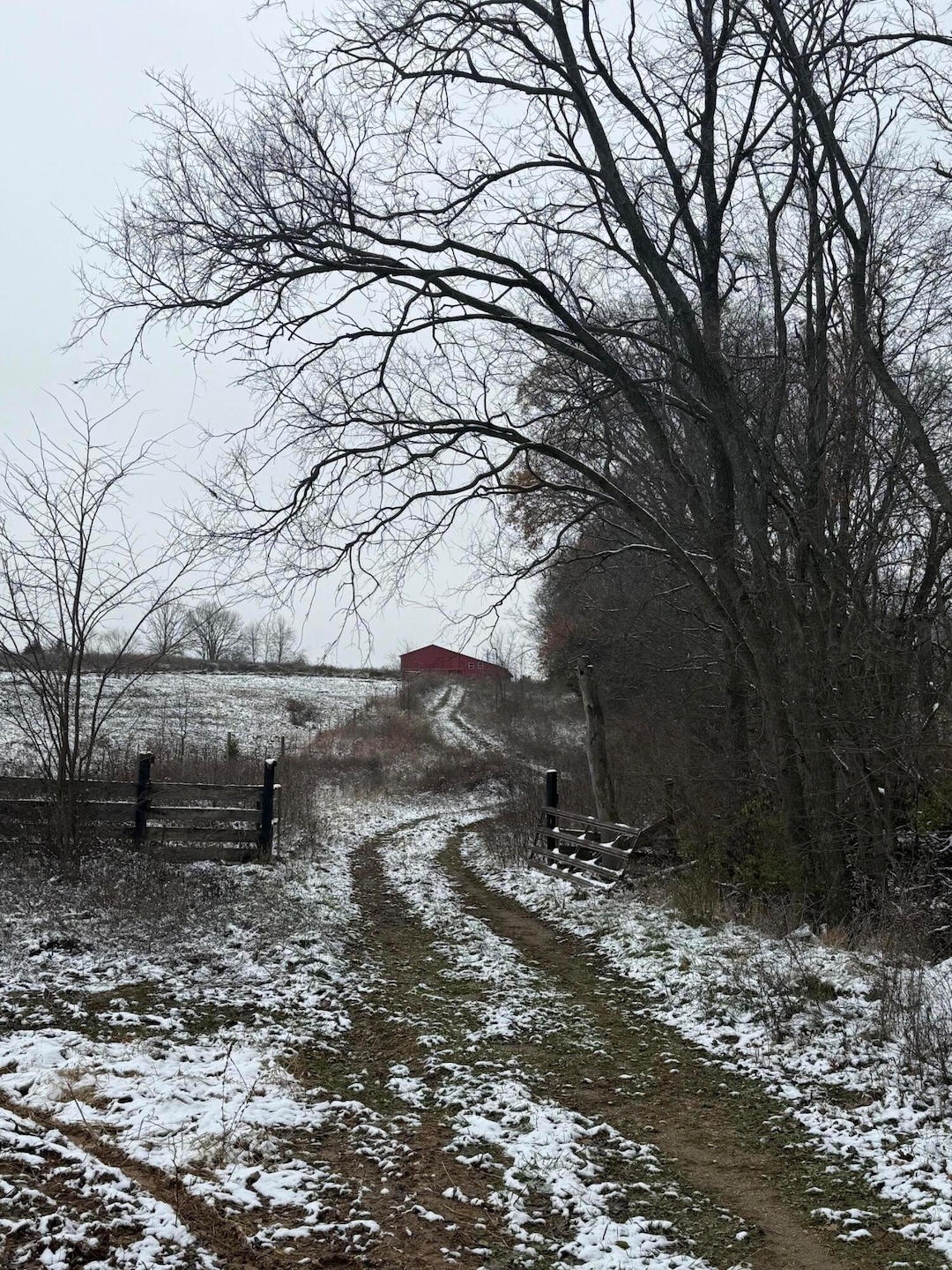 1013-B Salem Pike, Cynthiana, KY 41031 - photo 1