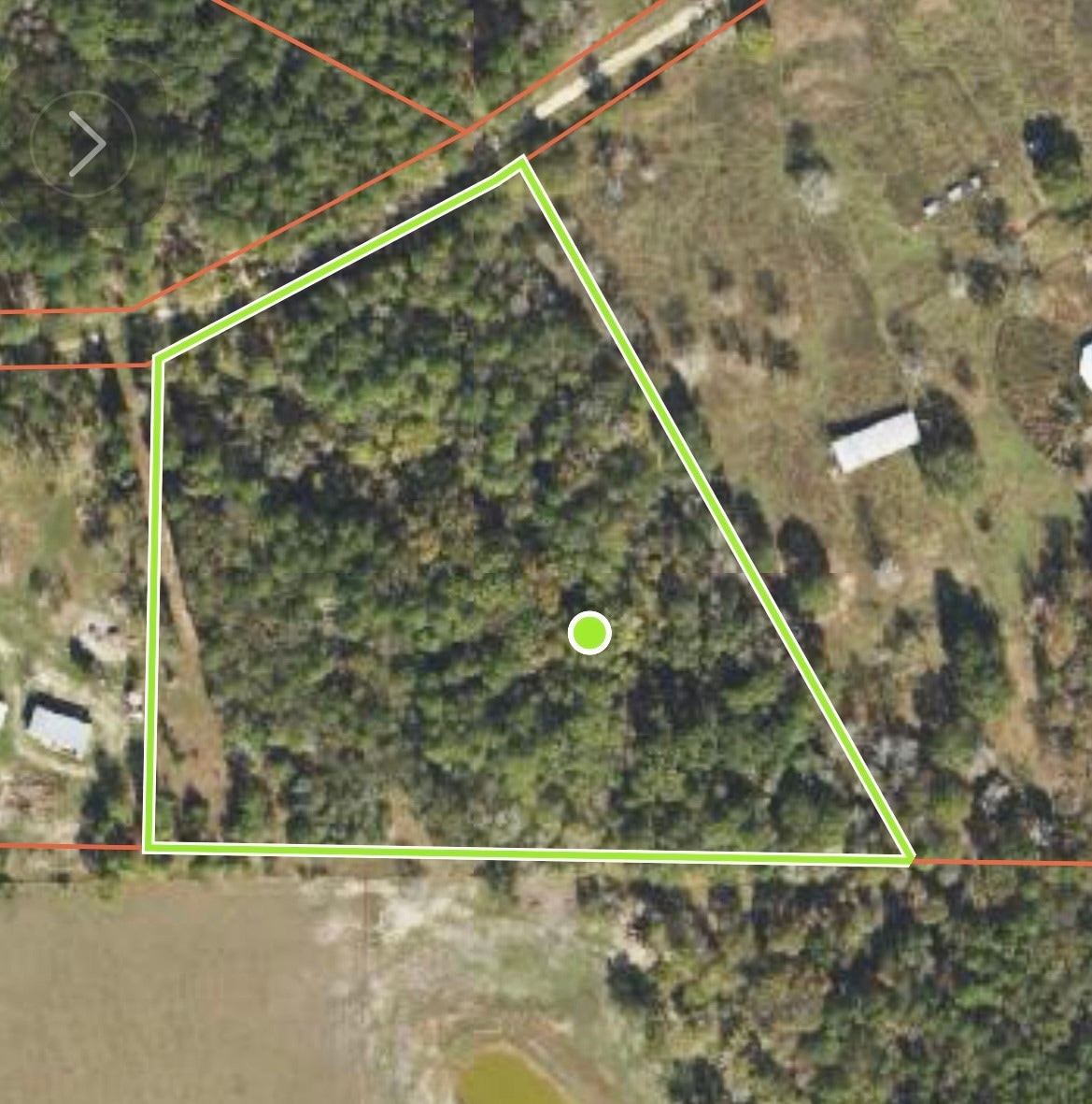 10.24 Acres Townley Ranch Rd, Dodge, TX 77320 - photo 1