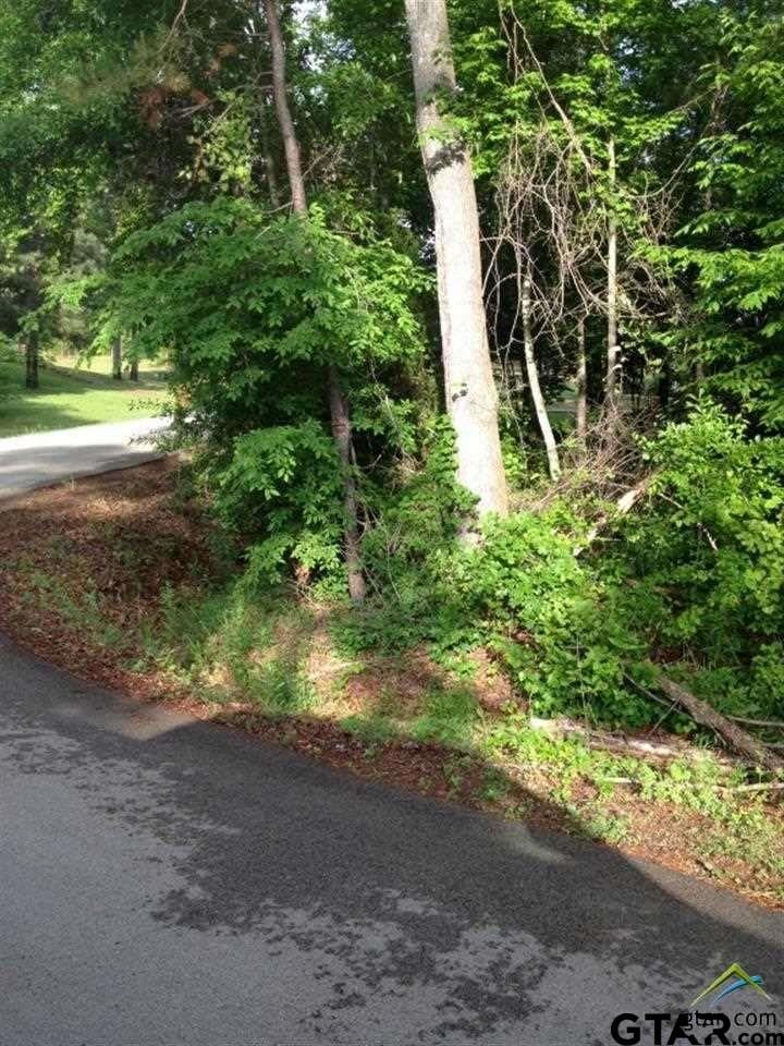 3810 Devon St unit 11 Tara Circle, Weslaco, TX 78599 - photo 1