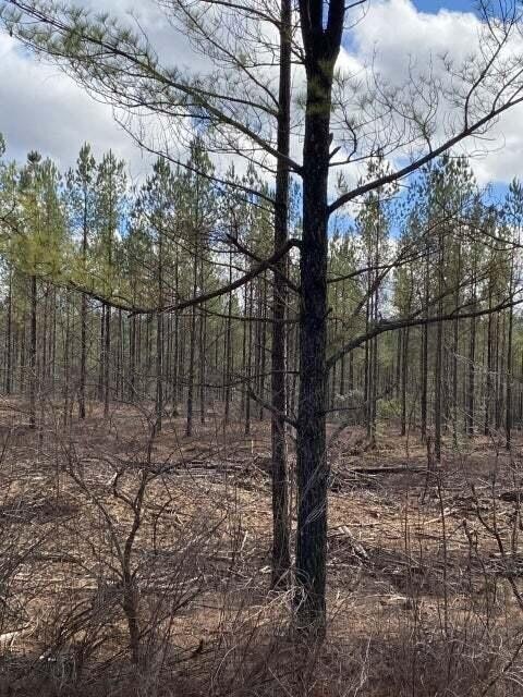 4 Thomas Springs Rd, Crossville, TN 38572 - photo 1