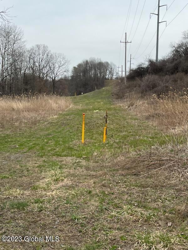 L1 Rockefeller Rd, Bethlehem, NY 12054 - photo 1