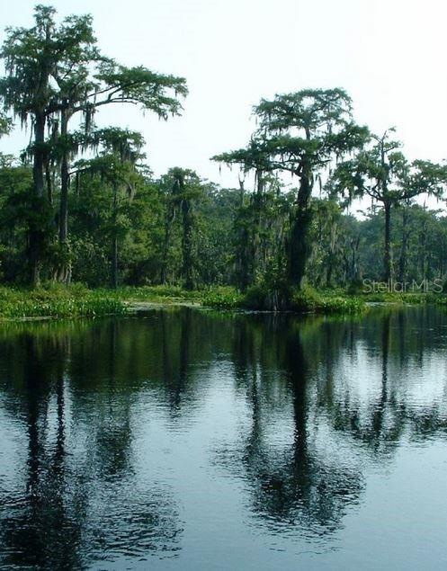 750 River Plantation Rd, Crawfordville, FL 32327 - photo 1