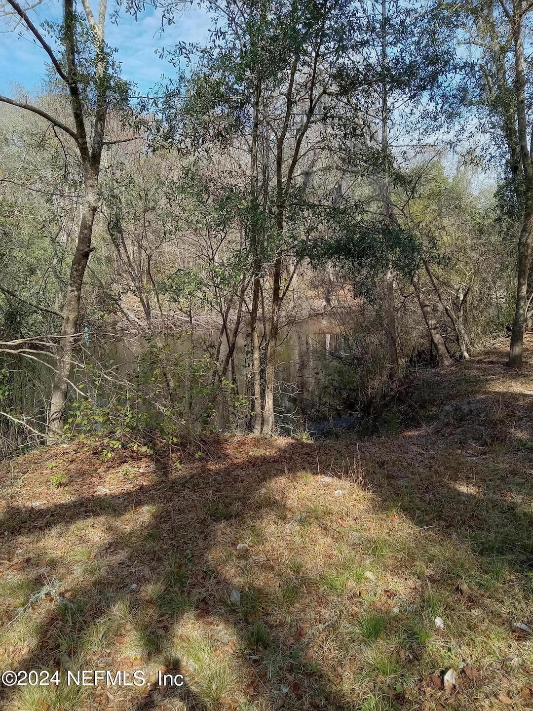 2905 Creek St, Middleburg, FL 32068 - photo 1