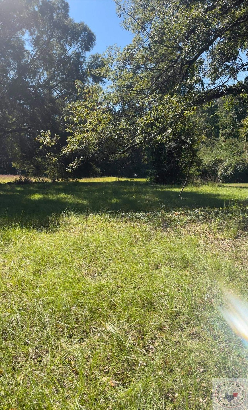 318 Gullate, Nash, TX 75569 - photo 1