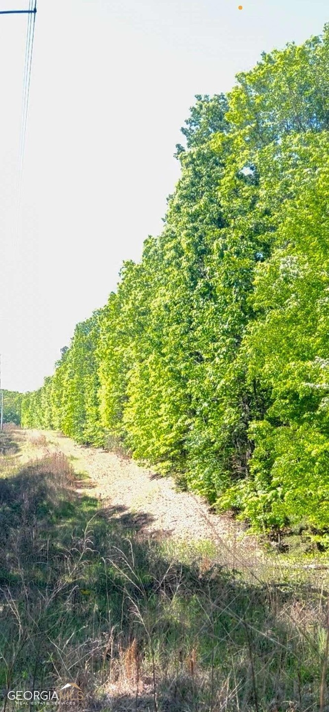 0 Liberty Church Rd unit 10156468, Bremen, GA 30110 - photo 1