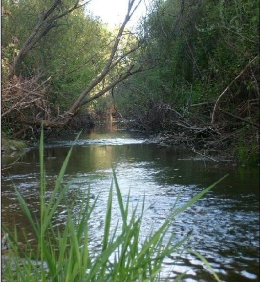 5850 Cedars Rd, Redding, CA 96001 - photo 1